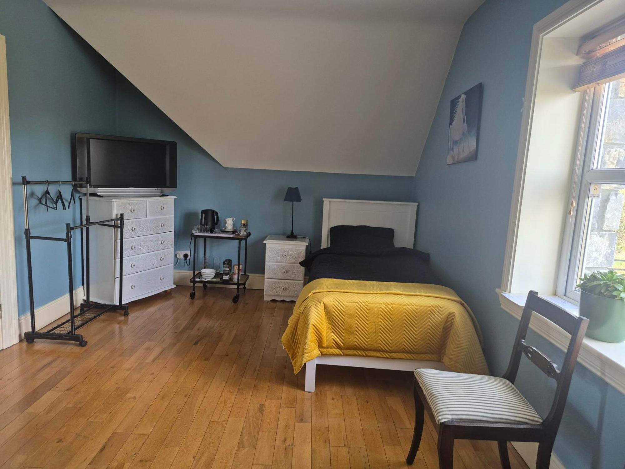 Ballinasloe Guest House In The Heart Of The Country Ngoại thất bức ảnh